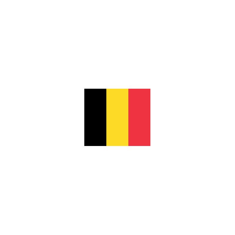 DRAPEAU EN PAPIER 14 X 21 BELGIQUE