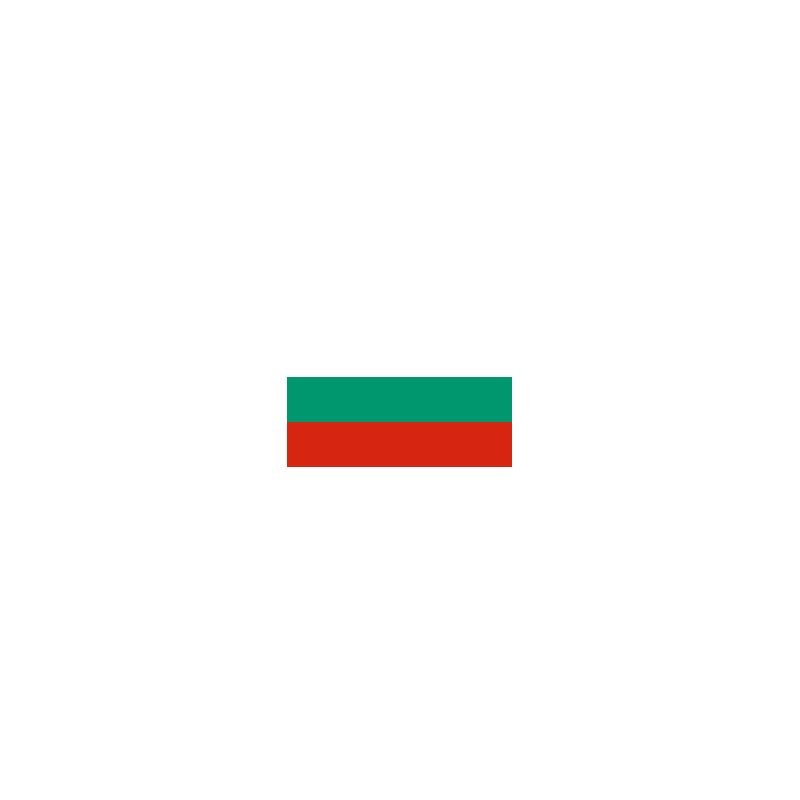 DRAPEAU EN PAPIER 14 X 21 BULGARIE