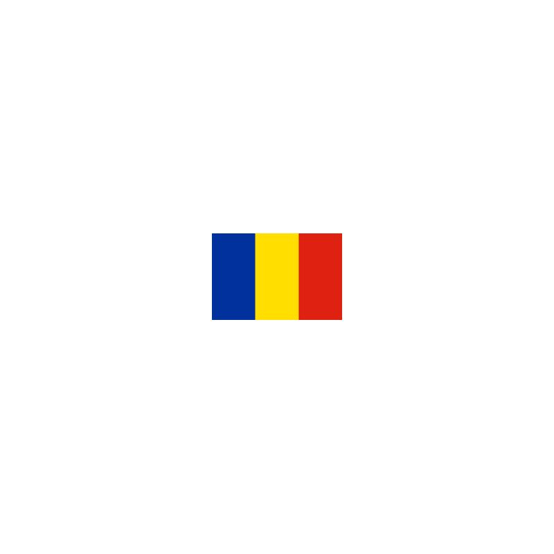 DRAPEAU EN PAPIER 14 X 21 ROUMANIE