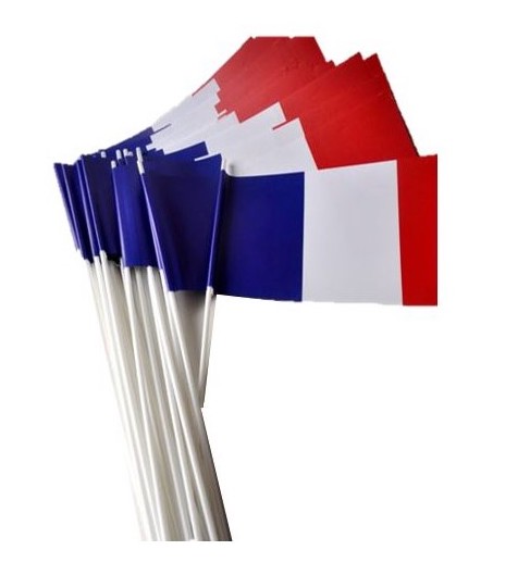 DRAPEAU EN PAPIER 14 X 21 FRANCE