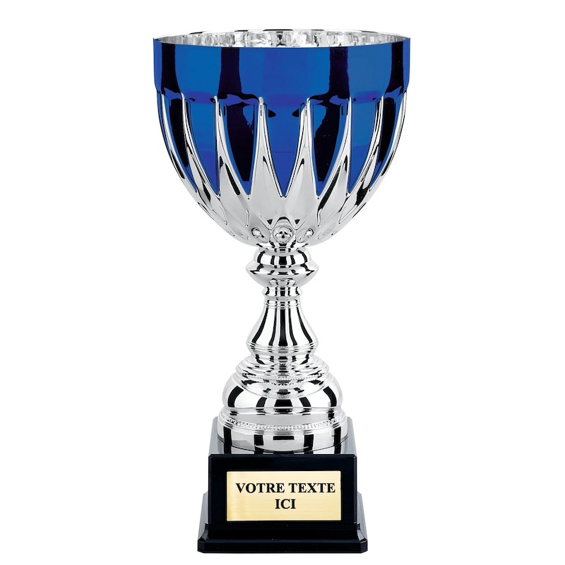 COUPE CLASSIQUE BOL ARGENT ET BLEU
