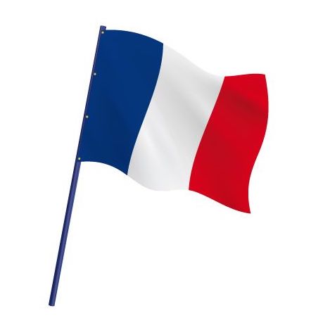 Drapeau de course automobile national