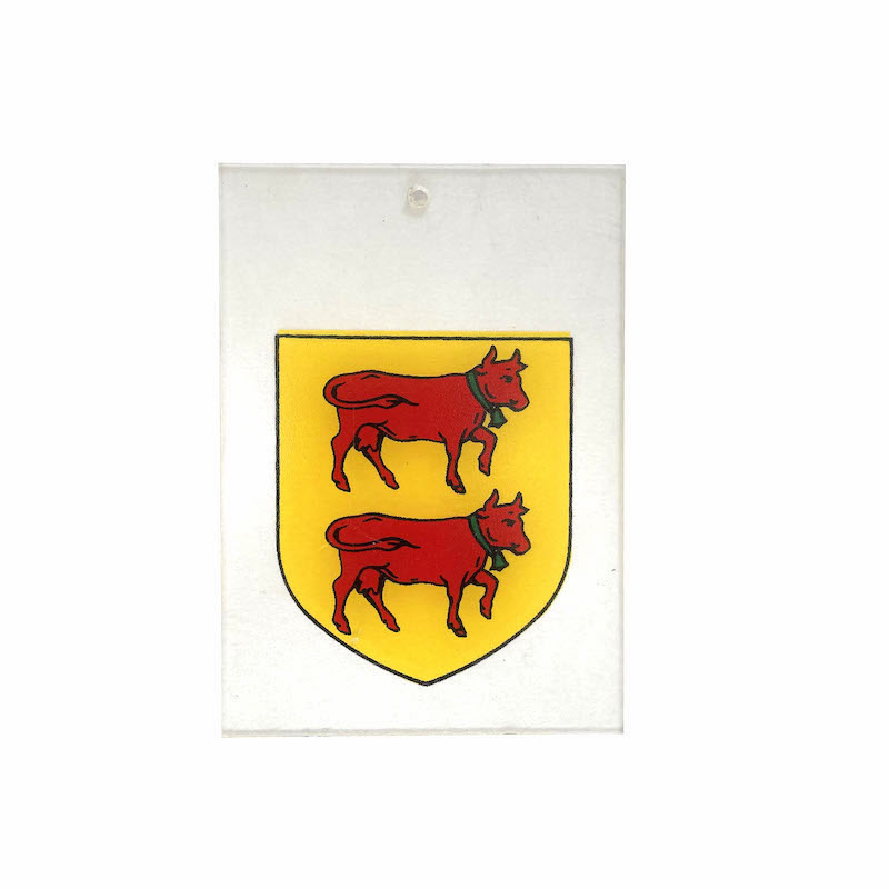 Plaque de fonction à ventouse personnalisée