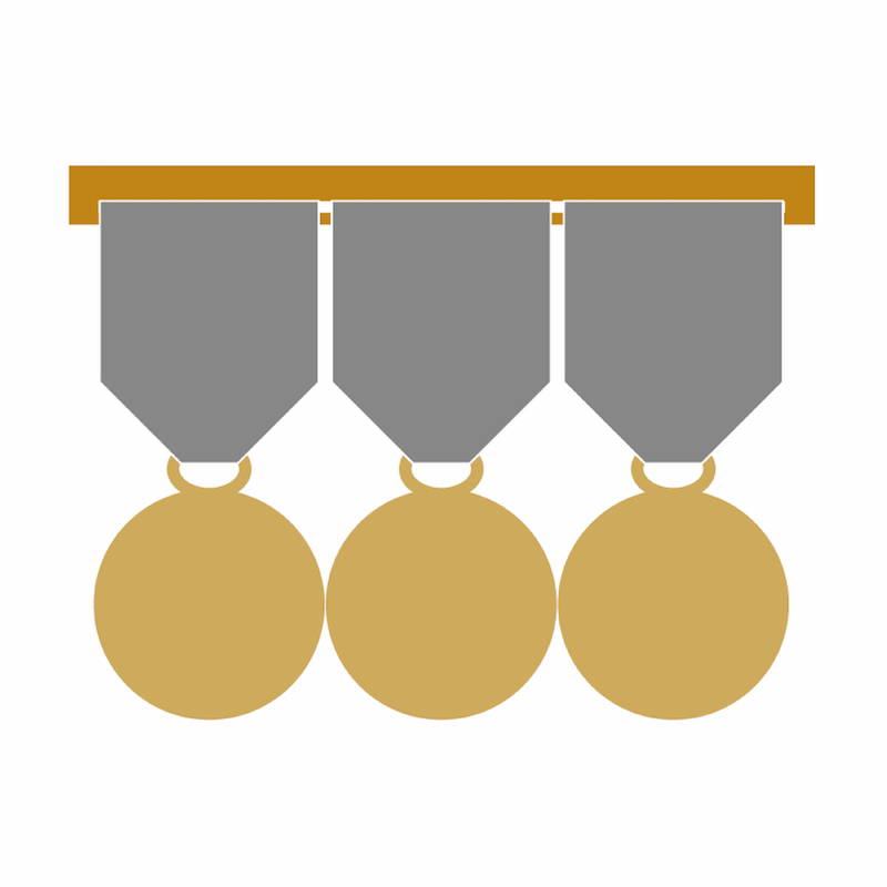 Barrette porte-médaille taille 9 réduction ou 3 ordonnance