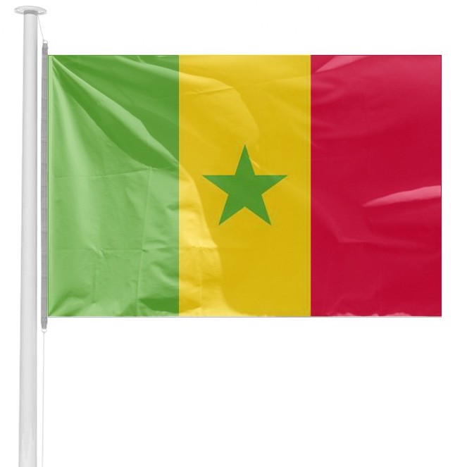 Photo du produit