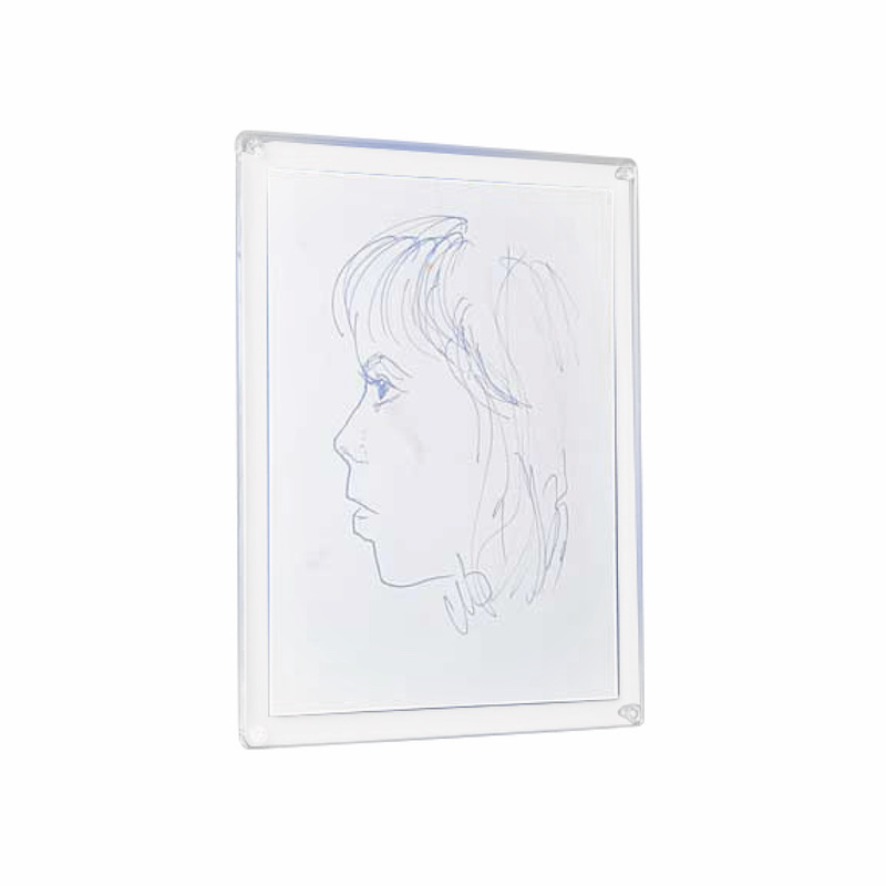 CADRE EN PLEXIGLASS MURAL