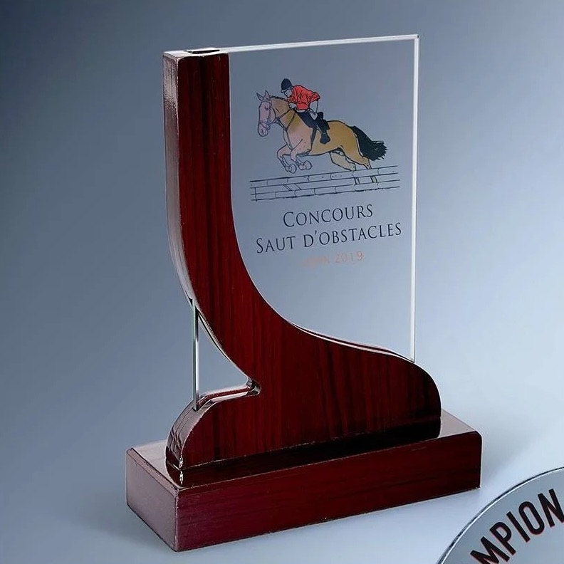 TROPHÉE VERRE ET BOIS RECTANGULAIRE