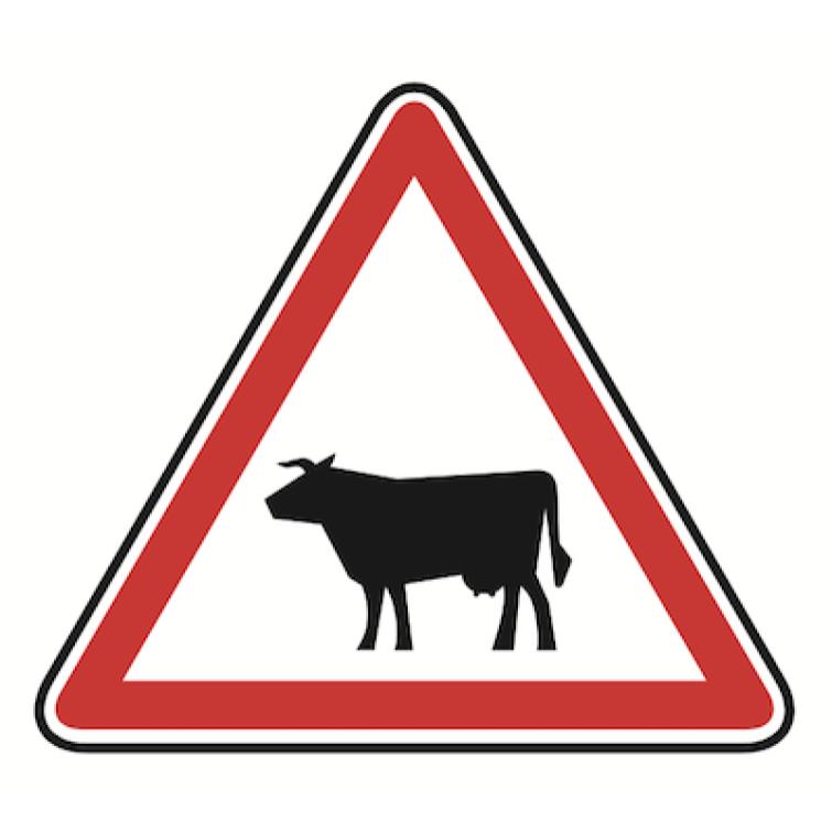 Image de produit